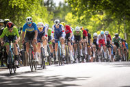 Course de la Paix Juniors / Závod míru juniorů 2025