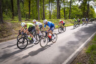 Course de la Paix Juniors / Závod míru juniorů 2025