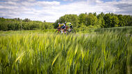 Course de la Paix Juniors / Závod míru juniorů 2025