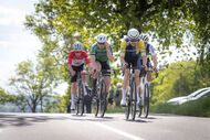 Course de la Paix Juniors / Závod míru juniorů 2025