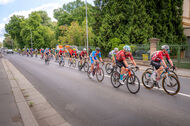 Course de la Paix Juniors / Závod míru juniorů 2025