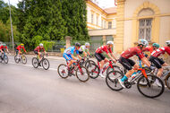 Course de la Paix Juniors / Závod míru juniorů 2025