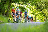 Course de la Paix Juniors / Závod míru juniorů 2025