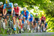 Course de la Paix Juniors / Závod míru juniorů 2025