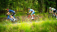 Course de la Paix Juniors / Závod míru juniorů 2025
