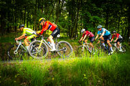 Course de la Paix Juniors / Závod míru juniorů 2025