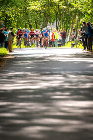 Course de la Paix Juniors / Závod míru juniorů 2025