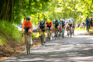 Course de la Paix Juniors / Závod míru juniorů 2025