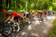 Course de la Paix Juniors / Závod míru juniorů 2025