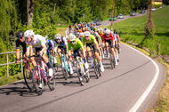 Course de la Paix Juniors / Závod míru juniorů 2025