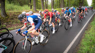 Course de la Paix Juniors / Závod míru juniorů 2026