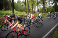 Course de la Paix Juniors / Závod míru juniorů 2026