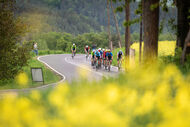 Course de la Paix Juniors / Závod míru juniorů 2026