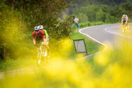 Course de la Paix Juniors / Závod míru juniorů 2026