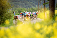 Course de la Paix Juniors / Závod míru juniorů 2026