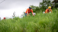 Course de la Paix Juniors / Závod míru juniorů 2026