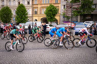 Course de la Paix Juniors / Závod míru juniorů 2026
