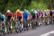 Course de la Paix Juniors / Závod míru juniorů 2026
