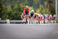 Course de la Paix Juniors / Závod míru juniorů 2026