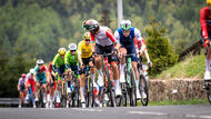 Course de la Paix Juniors / Závod míru juniorů 2026