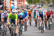 Course de la Paix Juniors / Závod míru juniorů 2026