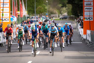 Course de la Paix Juniors / Závod míru juniorů 2026
