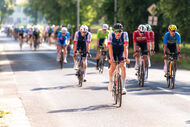 Course de la Paix Juniors / Závod míru juniorů 2026