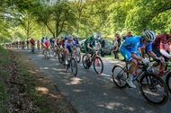 Course de la Paix Juniors / Závod míru juniorů 2026