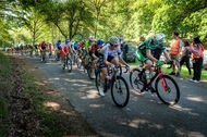 Course de la Paix Juniors / Závod míru juniorů 2026