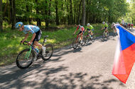 Course de la Paix Juniors / Závod míru juniorů 2026