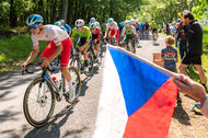 Course de la Paix Juniors / Závod míru juniorů 2026