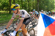 Course de la Paix Juniors / Závod míru juniorů 2026