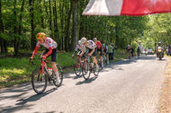 Course de la Paix Juniors / Závod míru juniorů 2026