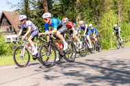 Course de la Paix Juniors / Závod míru juniorů 2026